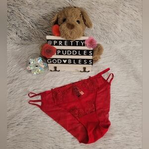 🐉 XXL VS Very Sexy Dragon Embroidered Mesh Strappy Cheekini Panty 🐉